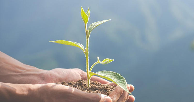 Экологическая ответственность